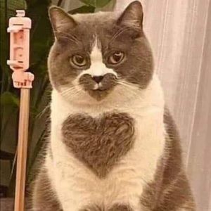 Meet your Posher, Alexarose